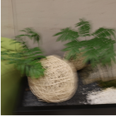 Scene 1 blurry image 1