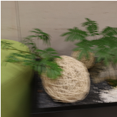 Scene 1 blurry image 2